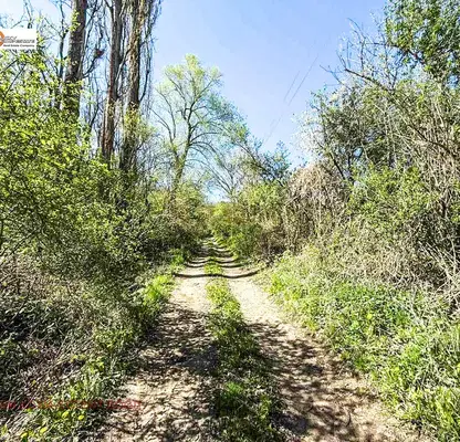 Photo 4 — Plot in Oblast Pernik, Kondofrei