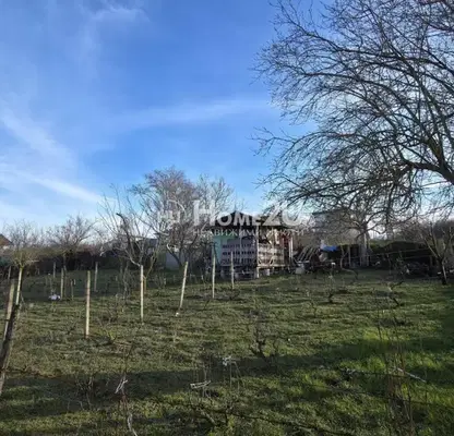 Photo 3 — Plot in Konstantinovo