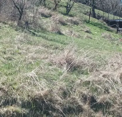 Photo 2 — Plot in Oblast Pernik, Kralev Dol