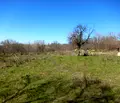 Снимка 4 — Парцел във Варна, с. Кривня