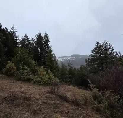 Photo 2 — Plot in Oblast Smolyan, Levochevo