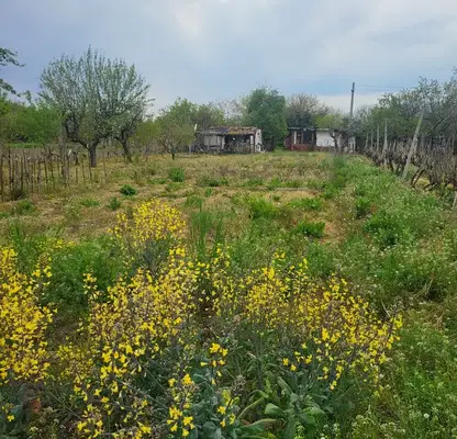 Photo 2 — Plot in Oblast Pazardjik, Malo Konare