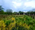 Снимка 3 — Парцел в Пазарджик, с. Мало Конаре