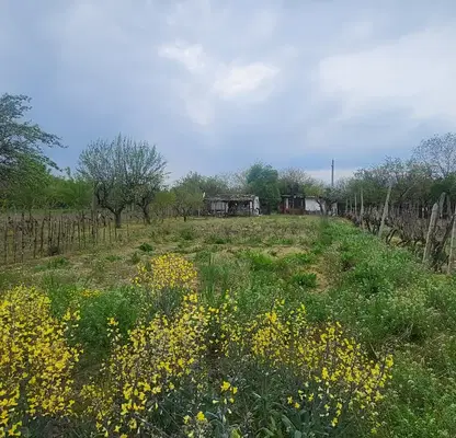 Photo 3 — Plot in Oblast Pazardjik, Malo Konare