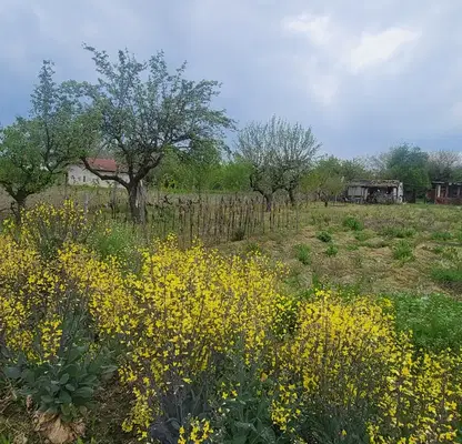 Photo 4 — Plot in Oblast Pazardjik, Malo Konare