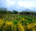 Снимка 5 — Парцел в Пазарджик, с. Мало Конаре