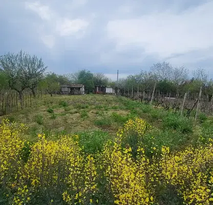 Photo 5 — Plot in Oblast Pazardjik, Malo Konare