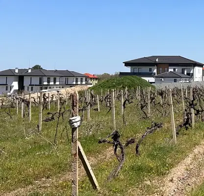 Снимка 2 — Парцел в Пловдив, с. Марково