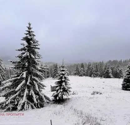 Photo 3 — Plot in Oblast Smolyan, Momchilovci