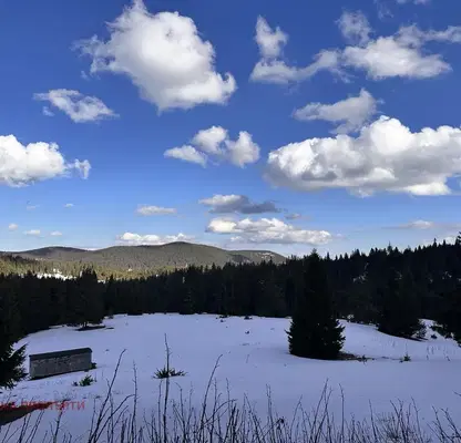 Photo 4 — Plot in Oblast Smolyan, Momchilovci