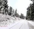 Снимка 5 — Парцел в Смолян, с. Момчиловци