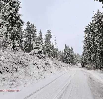 Photo 5 — Plot in Oblast Smolyan, Momchilovci