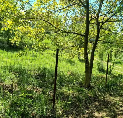 Photo 5 — Plot in Myrchaevo