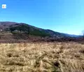 Снимка 5 — Парцел в с. Мърчаево