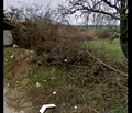 Снимка 5 — Парцел във Варна, с. Николаевка