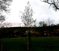 Снимка 4 — Парцел във Варна, с. Ново Оряхово