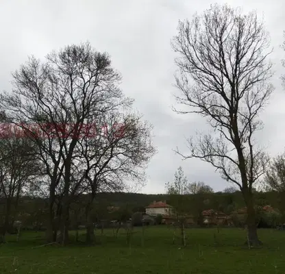 Снимка 5 — Парцел във Варна, с. Ново Оряхово