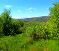 Снимка 2 — Парцел в София, с. Очуша