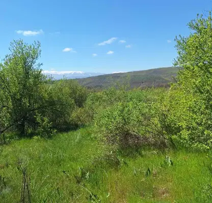 Photo 2 — Plot in област София, Ochusha