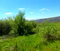 Снимка 3 — Парцел в София, с. Очуша