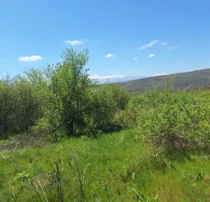 Photo 3 — Plot in област София, Ochusha