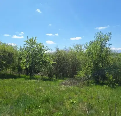 Photo 4 — Plot in област София, Ochusha