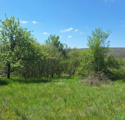 Photo 5 — Plot in област София, Ochusha