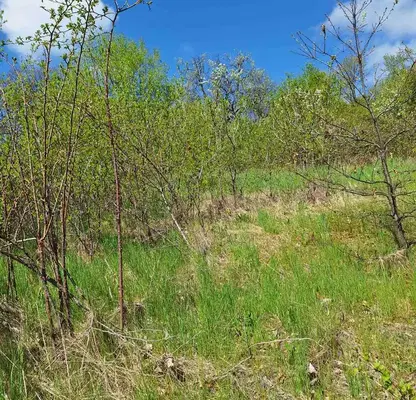 Photo 4 — Plot in област София, Ochusha