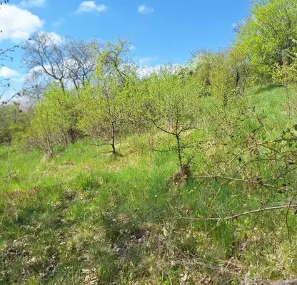 Photo 5 — Plot in област София, Ochusha