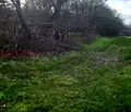 Снимка 4 — Парцел в Добрич, с. Одринци