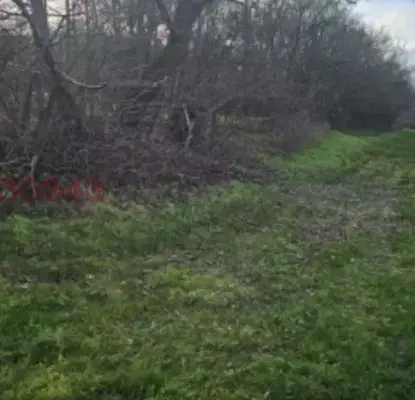 Photo 4 — Plot in Oblast Dobrich, Odrinci