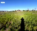 Снимка 2 — Парцел в Пловдив, с. Оризари