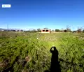 Снимка 3 — Парцел в Пловдив, с. Оризари
