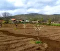 Снимка 2 — Парцел в Стара Загора, с. Оряховица