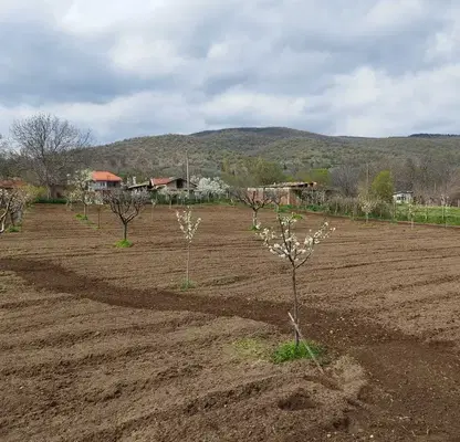 Снимка 2 — Парцел в Стара Загора, с. Оряховица