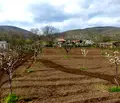 Снимка 3 — Парцел в Стара Загора, с. Оряховица