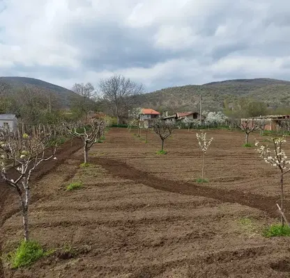 Снимка 3 — Парцел в Стара Загора, с. Оряховица