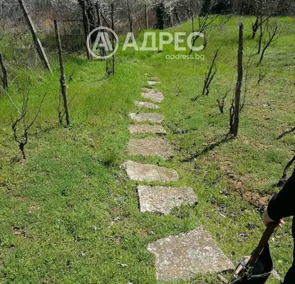 Снимка 4 — Парцел във Варна, с. Осеново