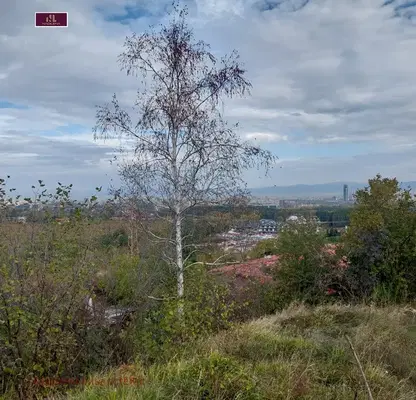 Снимка 2 — Парцел в с. Панчарево