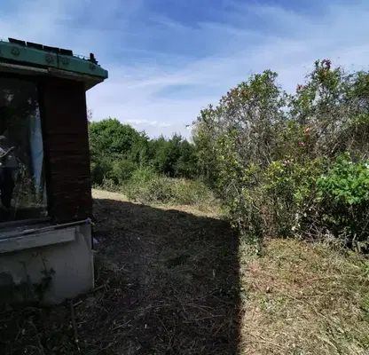 Photo 5 — Plot in Pancharevo