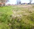 Снимка 2 — Парцел в Добрич, с. Паскалево