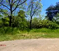 Снимка 4 — Парцел в Пазарджик, с. Паталеница