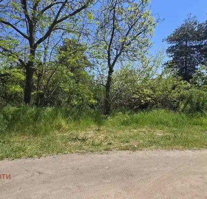 Снимка 4 — Парцел в Пазарджик, с. Паталеница