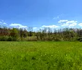 Снимка 3 — Парцел в Ловеч, с. Патрешко