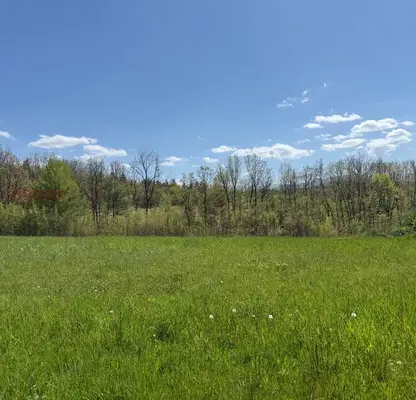 Photo 3 — Plot in Lovech, s. Patreshko