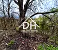 Снимка 2 — Парцел в Кърджали, с. Петлино