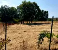Снимка 4 — Парцел в Бургас, с. Писменово