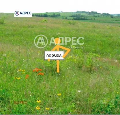 Photo 4 — Plot in Oblast Varna, Priselci