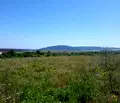 Снимка 4 — Парцел в Добрич, с. Рогачево