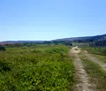 Снимка 5 — Парцел в Добрич, с. Рогачево